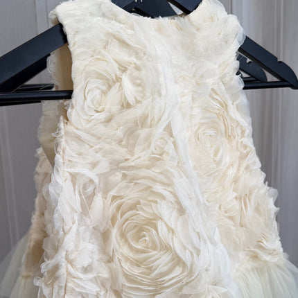 Rose Tulle Dress