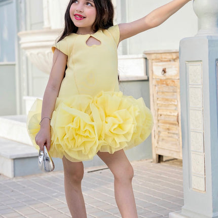 Princess Dress