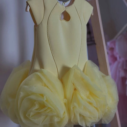 Princess Dress