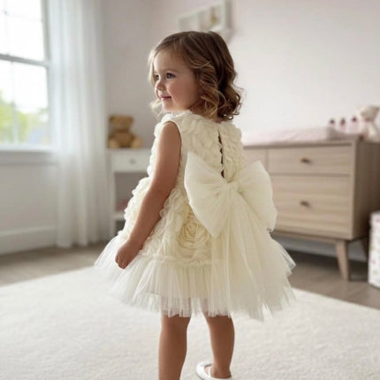 Rose Tulle Dress