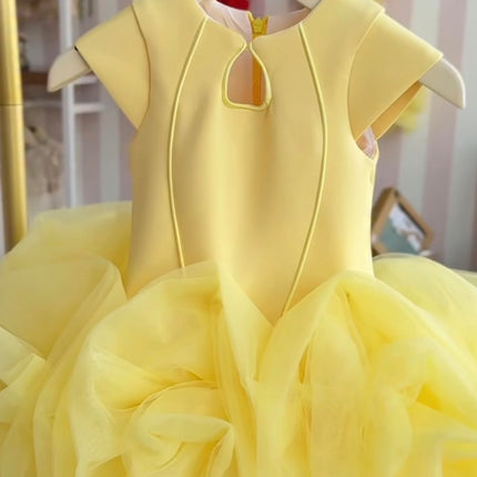 Princess Dress