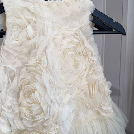 Rose Tulle Dress