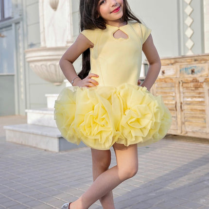 Princess Dress