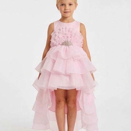 Bella dress