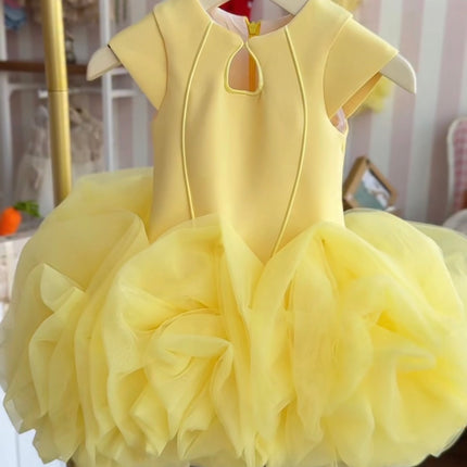 Princess Dress