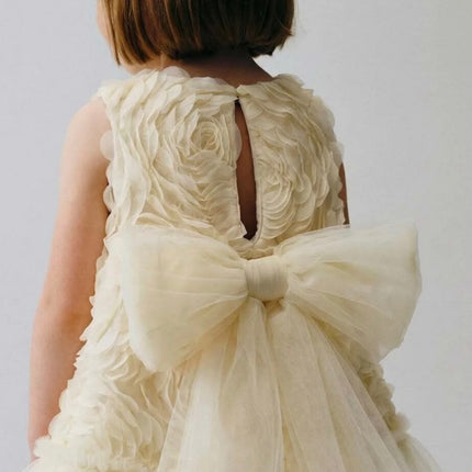 Rose Tulle Dress