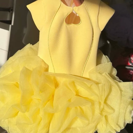 Princess Dress