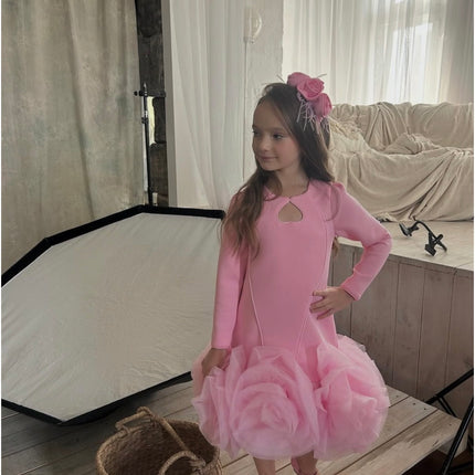 Princess Dress Long Sleeve
