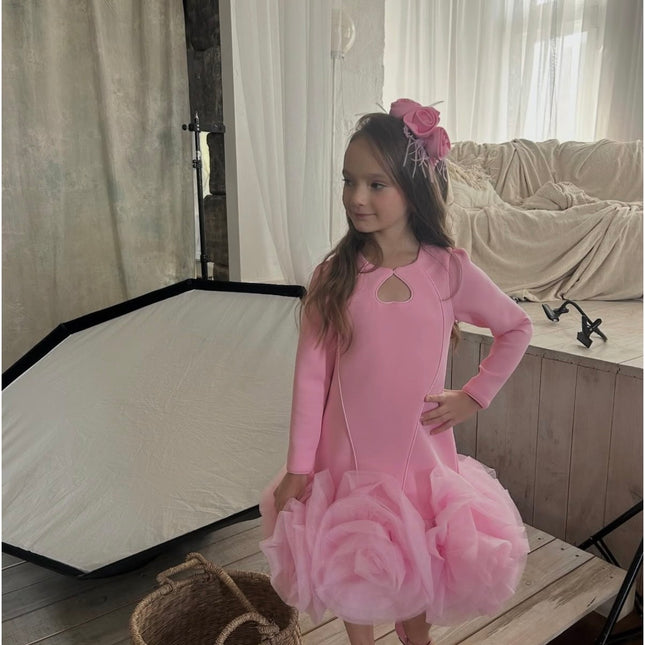 Princess Dress Long Sleeve
