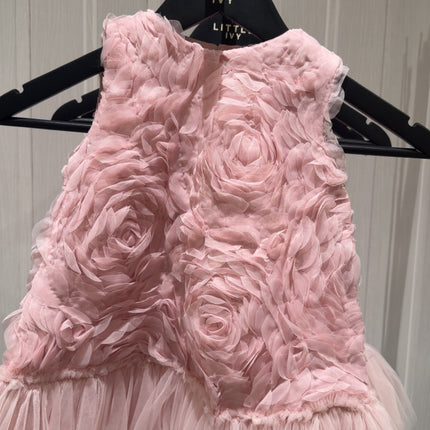 Rose Tulle Dress