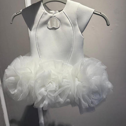 Princess Dress