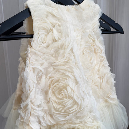 Rose Tulle Dress