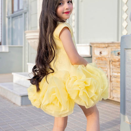 Princess Dress